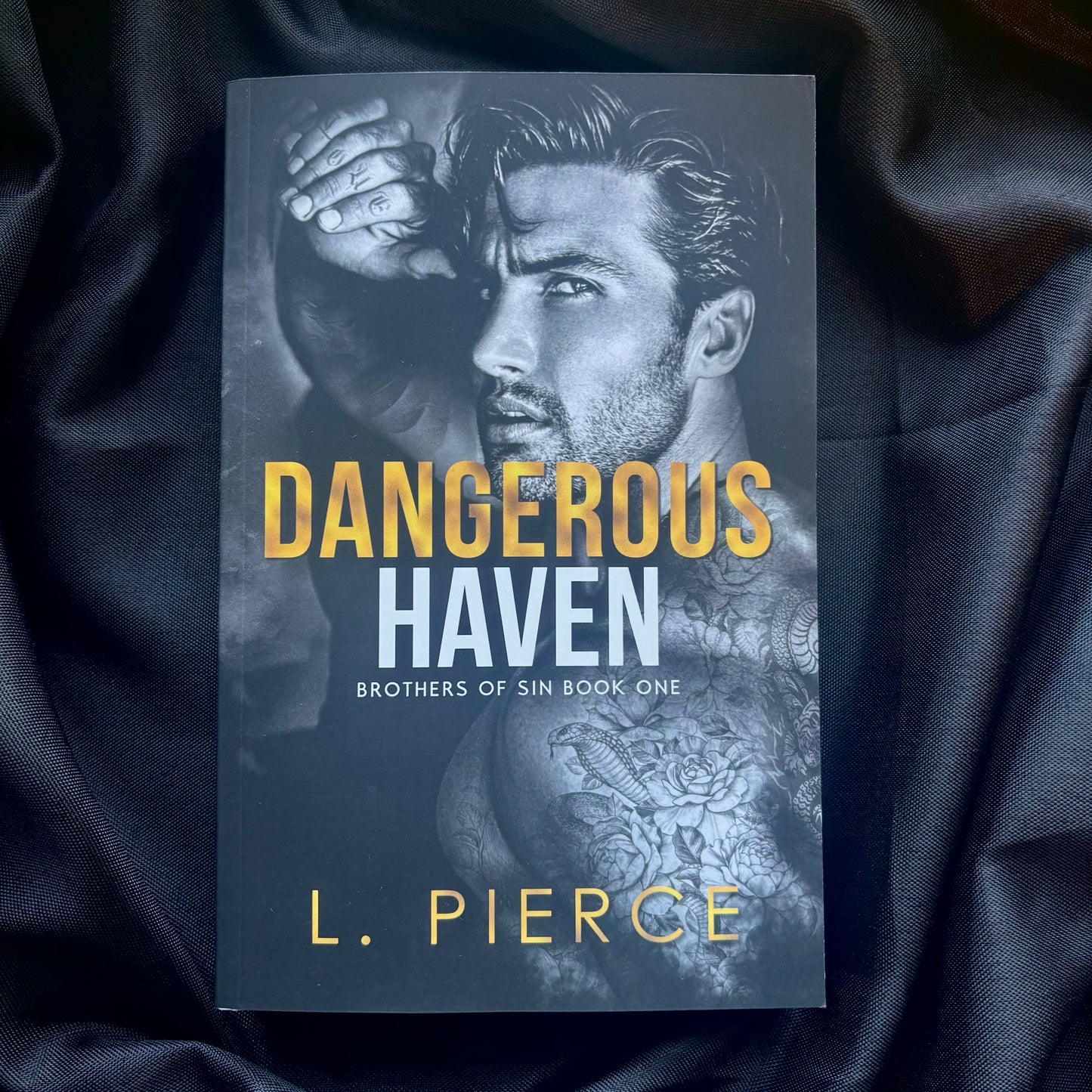 Dangerous Haven (MF Billionaire Romance)