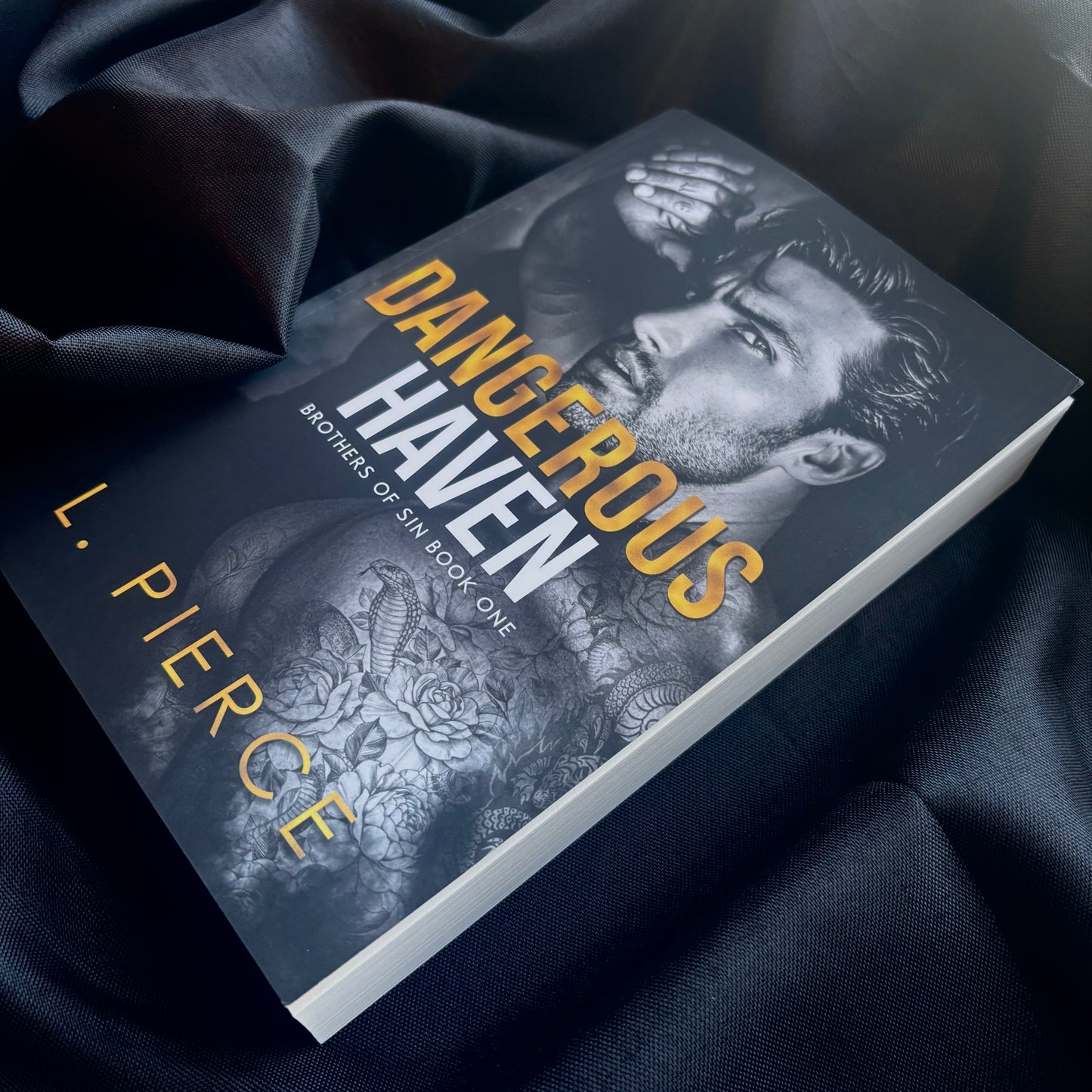 Dangerous Haven (MF Billionaire Romance)