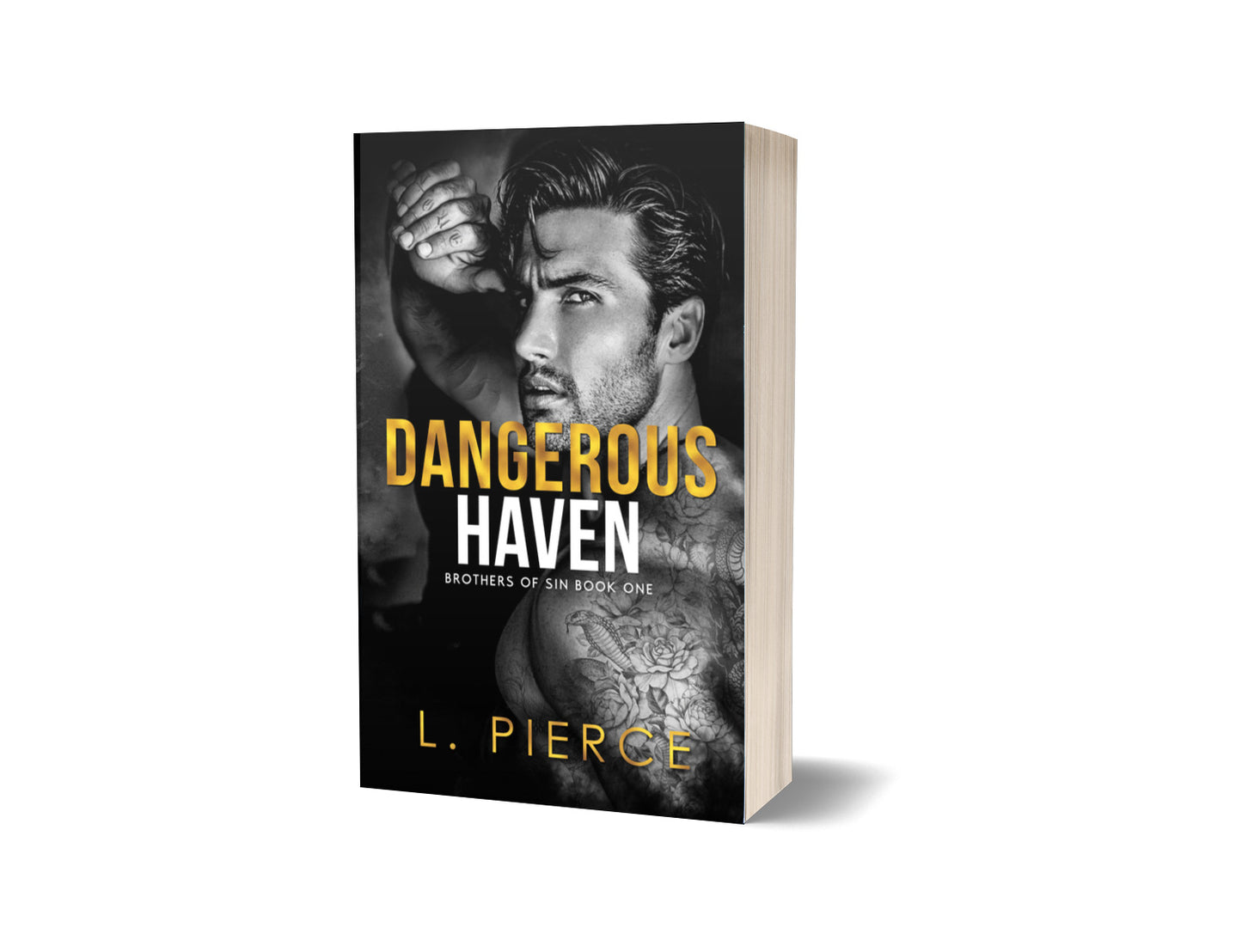Dangerous Haven SCRATCH & DENT (MF Billionaire Romance)
