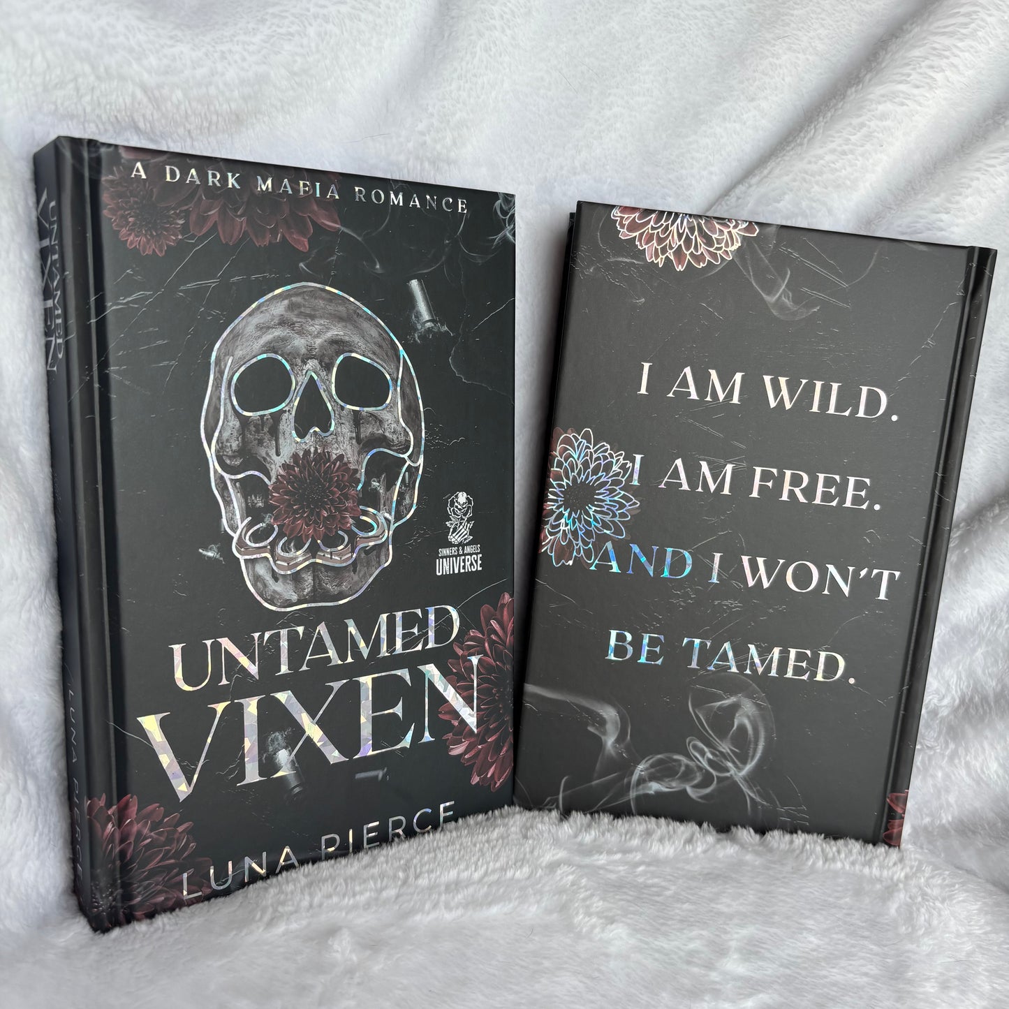 Sinners and Angels Universe SPECIAL EDITION BUNDLE (Dark Mafia Romance)