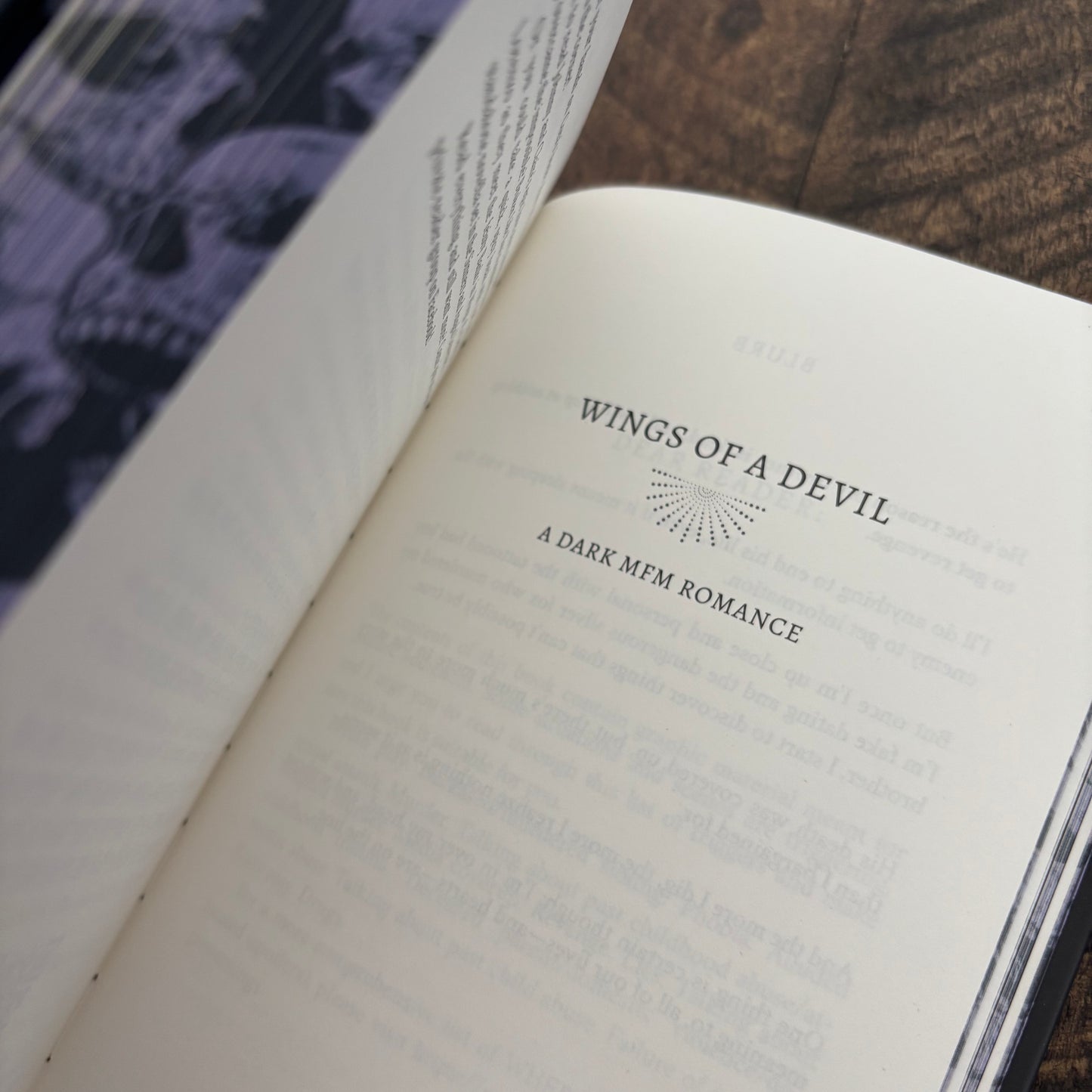 Sinners and Angels Universe SPECIAL EDITION BUNDLE (Dark Mafia Romance)