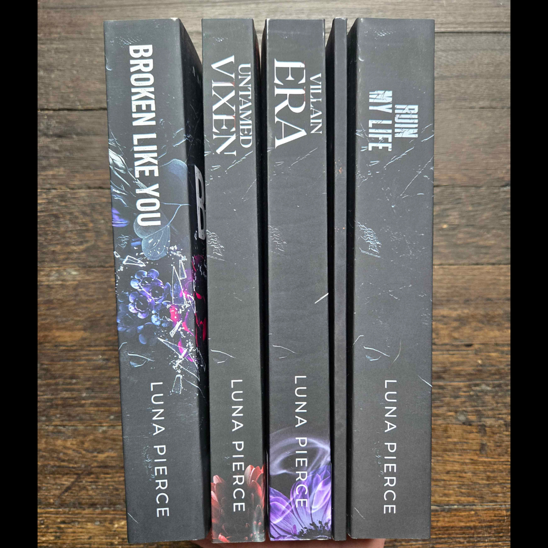 Sinners and Angels Universe 5 book BUNDLE (Dark Mafia Romance) sets fiction books romance