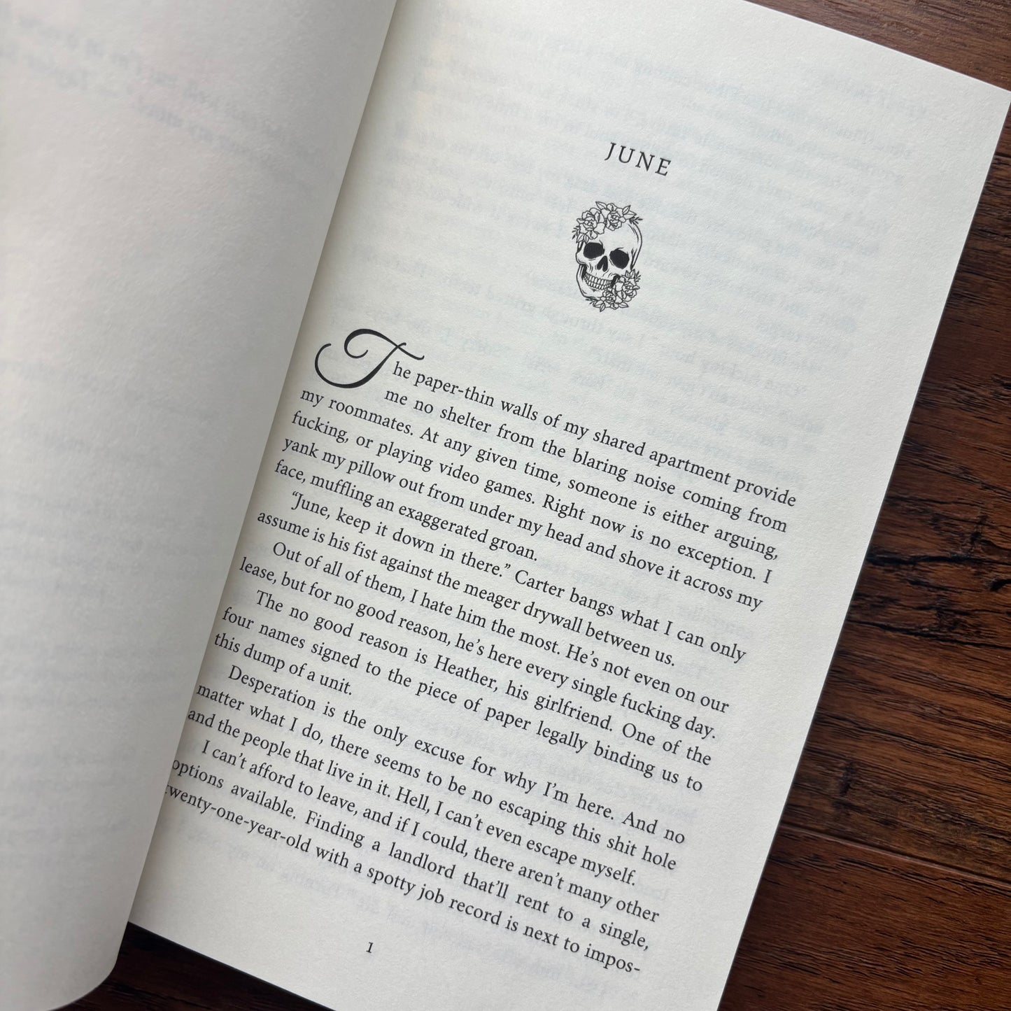 Untamed Vixen by Tessa James (Dark Mafia Why Choose) Paperback (OUT OF PRINT)