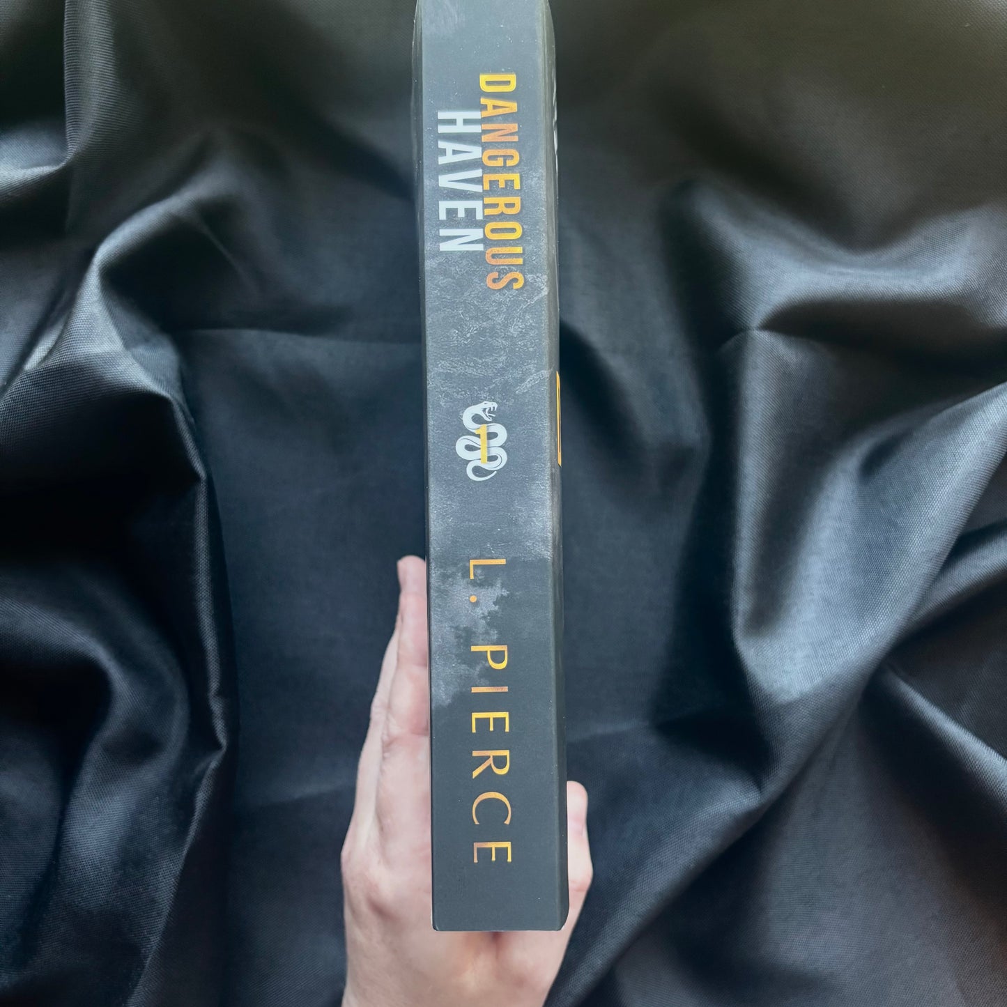 Dangerous Haven (MF Billionaire Romance)