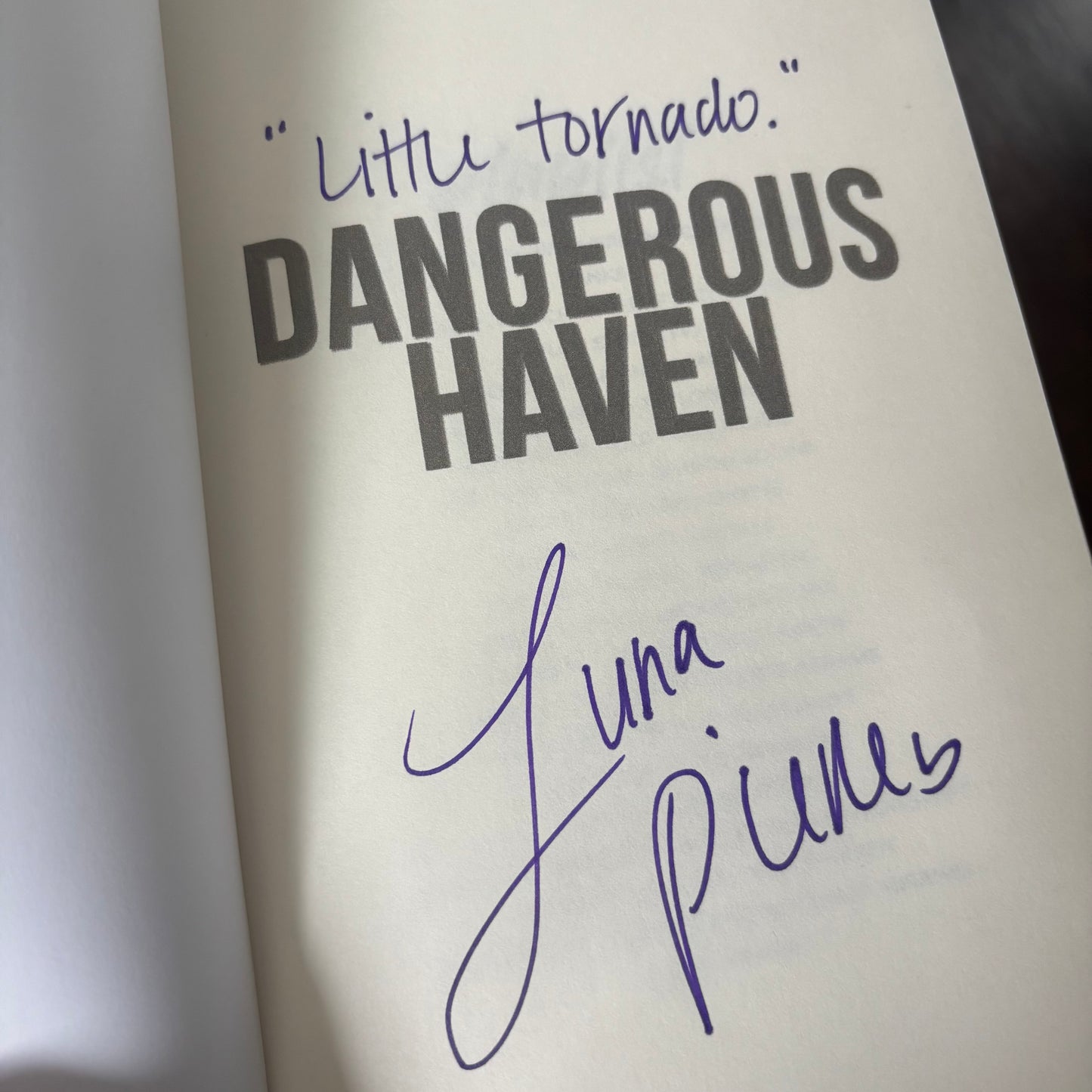 Dangerous Haven SCRATCH & DENT (MF Billionaire Romance)